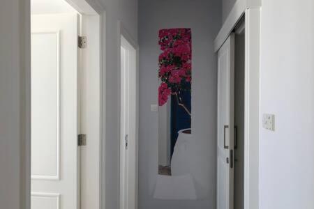 Kings Palace - Superb 2 Bed Ground Floor Apartment Pafos Exterior foto